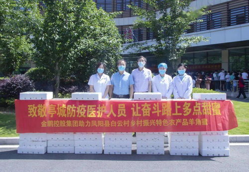 金鵬助力鳳陽(yáng)縣白云村鄉(xiāng)村振興 愛(ài)心甜瓜致敬亭城奮斗者