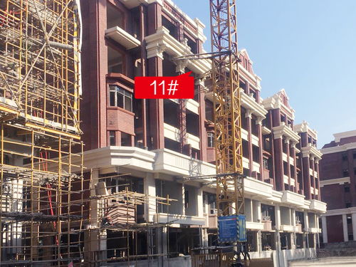 金鵬地產集團11月份工程進度