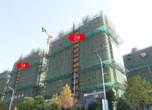 金鵬地產集團11月份工程進度