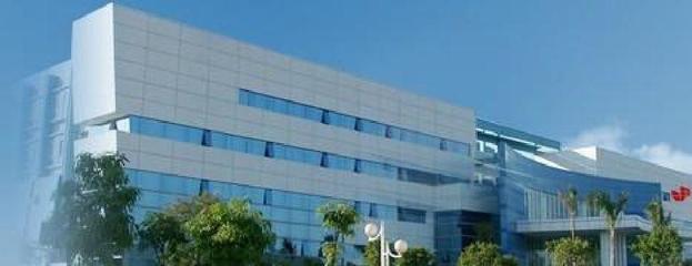 廣州金鵬集團(tuán)