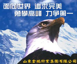 山東金鵬針業集團