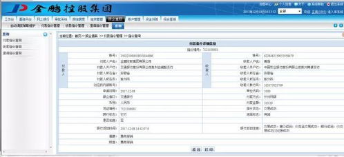 金鵬控股集團資金管理系統 一期 正式上線