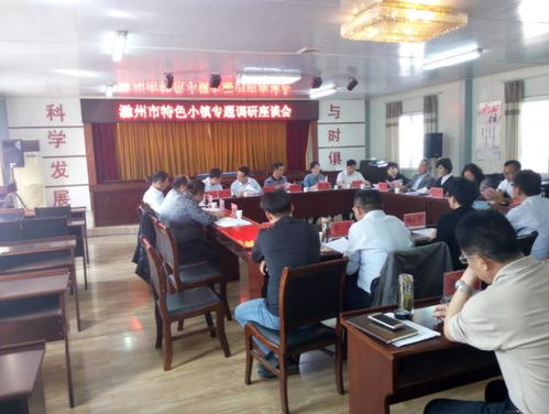 金鵬控股集團董事長一行參加滁州市特色小鎮專題調研會