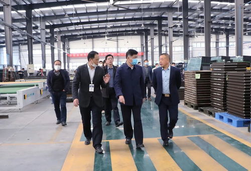 蚌埠懷遠縣領導一行蒞臨金鵬考察指導，共謀合作發展新篇章