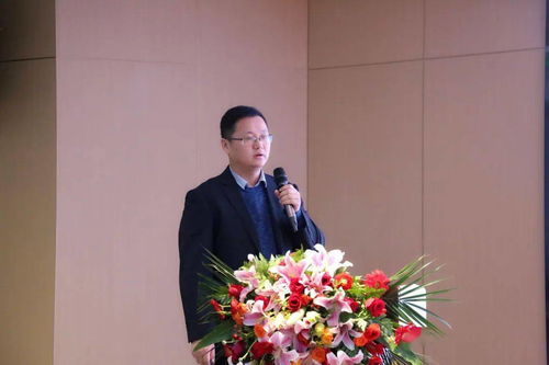 正是揚帆搏浪時——金鵬地產集團2020年度工作會議圓滿召開